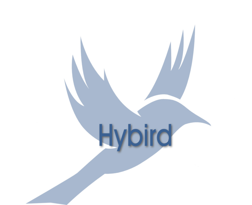 Logo HYBIRD - CREME CRM