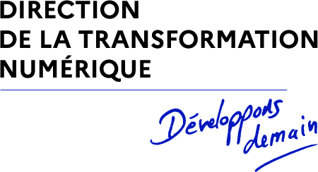 Logo DIRECTION DE LA TRANSFORMATION NUMERIQUE