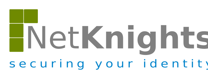 Logo NETKNIGHTS