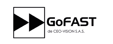 CEO VISION